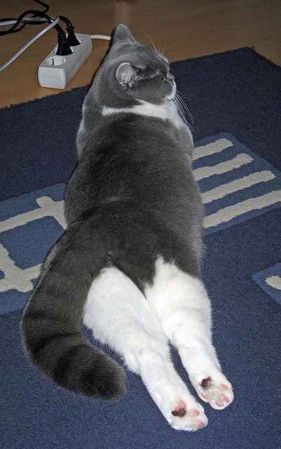 开云体育官网登入-世界杯传奇夜:精彩瞬间永载史册!,世界杯百大传奇